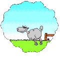 SHEP_ANM.GIF (16402 bytes)